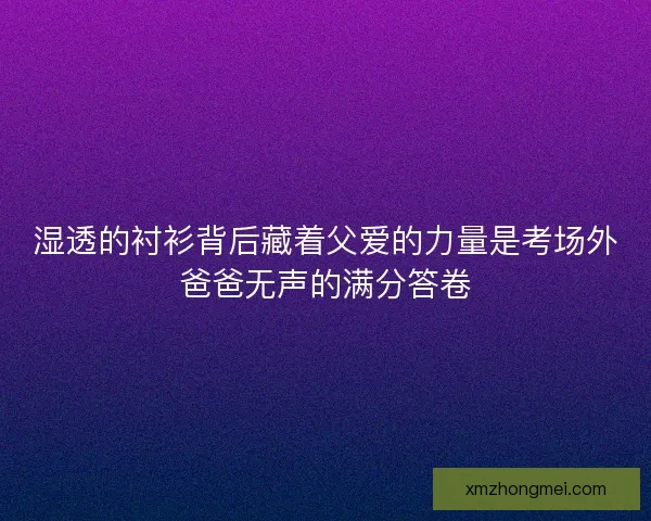 湿透的衬衫背后藏着父爱的力量是考场外爸爸无声的满分答卷 湿透的衬衫背后藏着父爱的力量是考场外爸爸无声的满分答卷