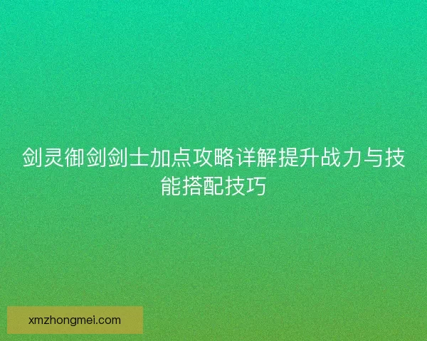 剑灵御剑剑士加点攻略详解提升战力与技能搭配技巧