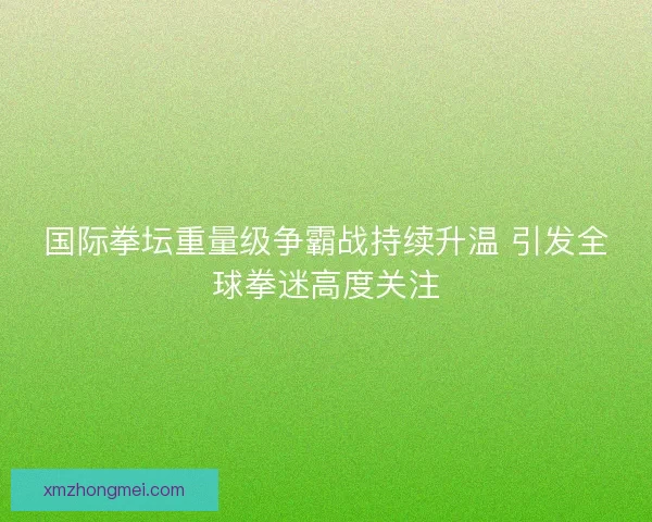 国际拳坛重量级争霸战持续升温 引发全球拳迷高度关注